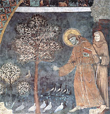 Saint preaches to birds